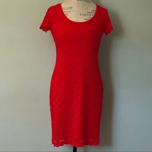 Ronni Nicole Orange Lace Strech Summer  Dress S 8